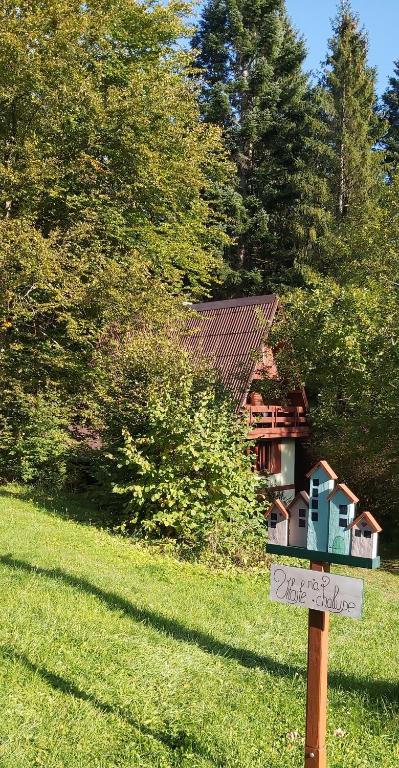 Squirrel cottage — photo 1