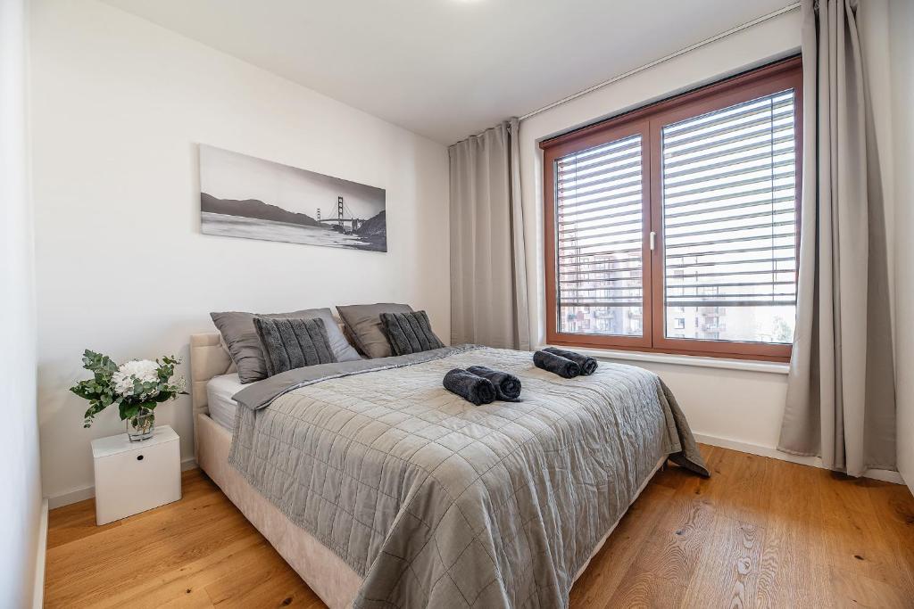 ZWIRN CITY Centre apt photo 2