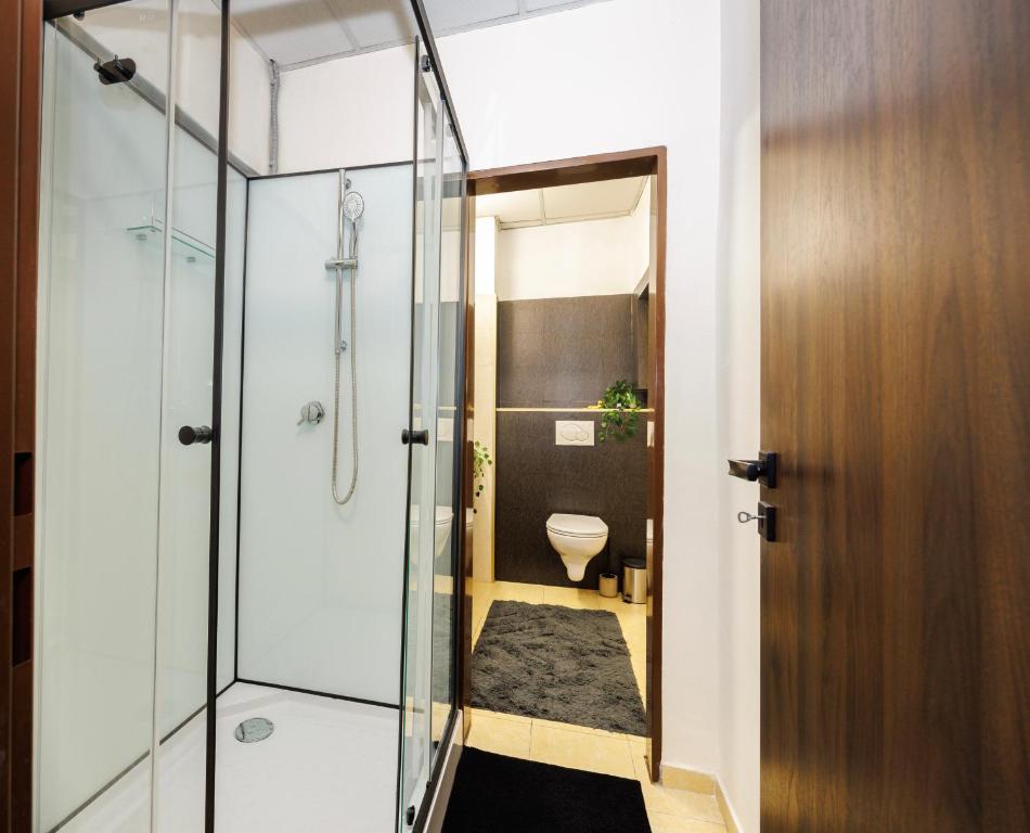 SPAYA JACUZZI centrum apartment - with home cinema & private parking photo 3
