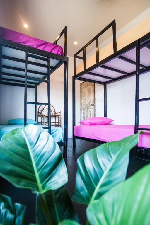 Sweet Life Guesthouse photo 2