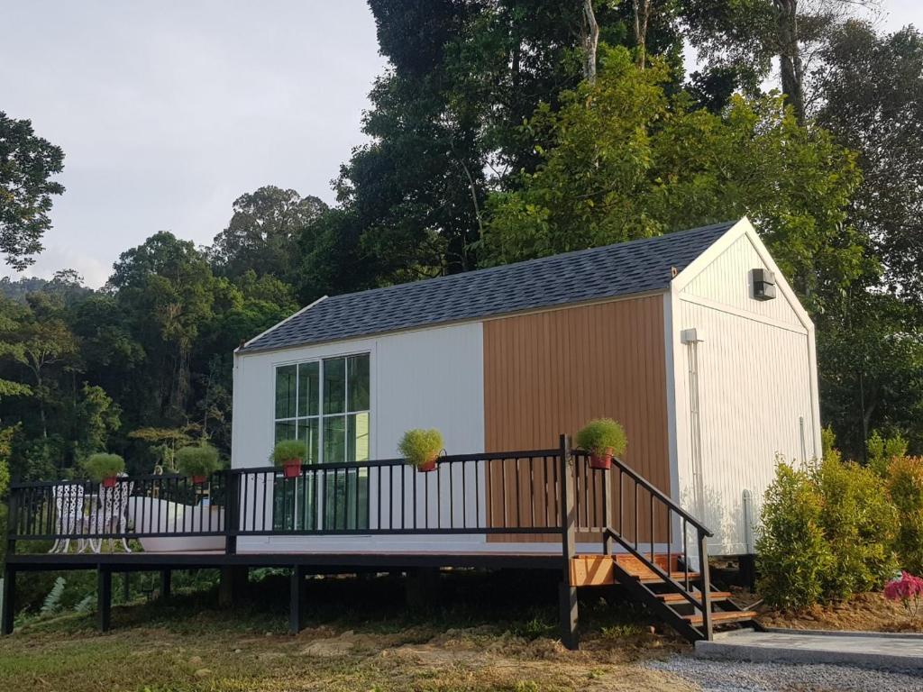 The Pubpa Backyard — photo 1