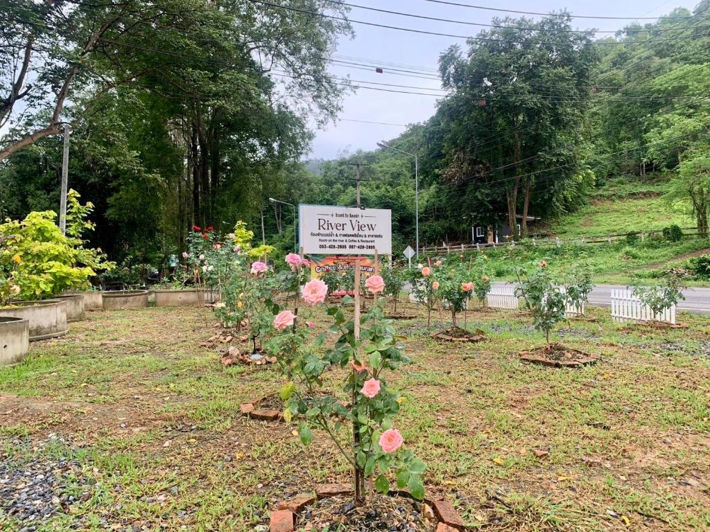 River View Resort ริเวอร์ วิว รีสอร์ท photo 3