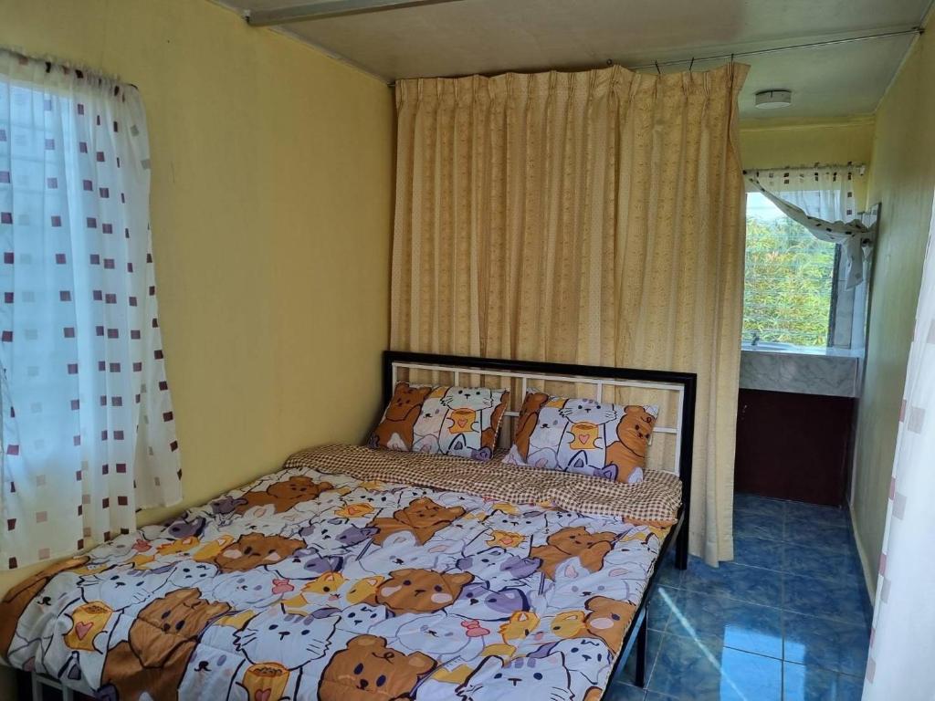 HatYai -Les Cat Cocoa Farmstay photo 2