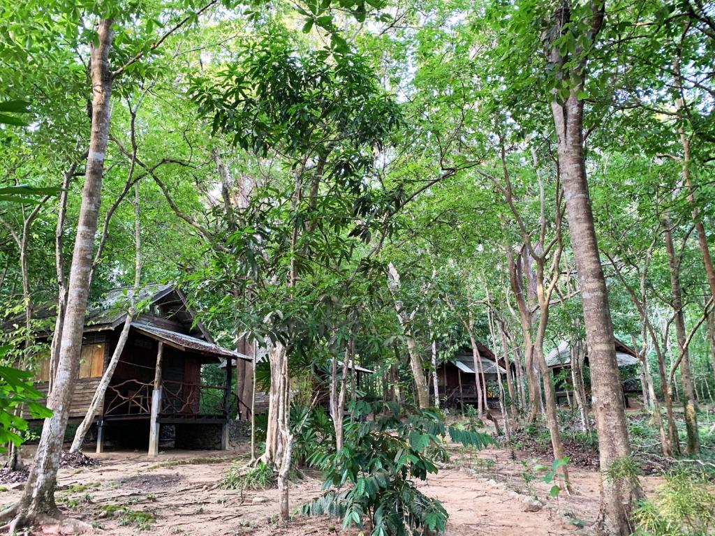 Foresta Cottage of Koh Pu no6195 — photo 1