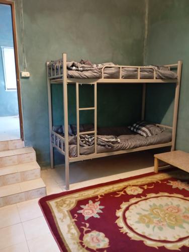 Stay in art house photo 2