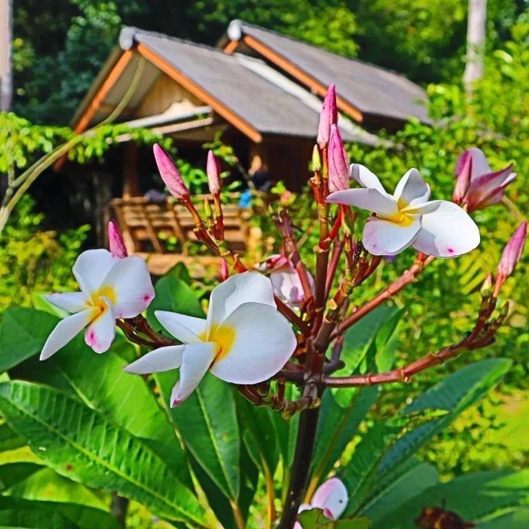 Toh Tao Homestay — photo 1