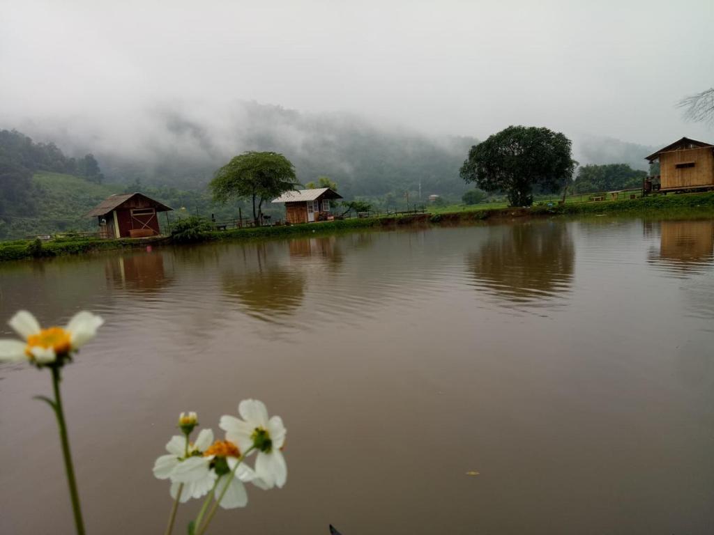 Samoeng fishing park home stay — photo 1