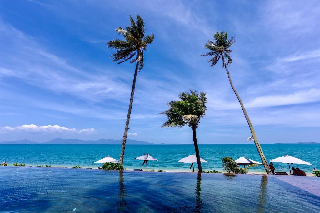 Saree Samui — photo 1