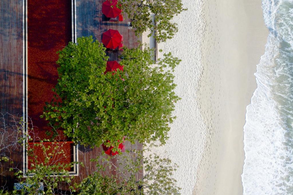 The Secret Pool Villas By The Library Koh Samui — photo 1