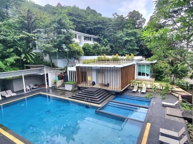 Tropical 1bedroom Apartment photo 2