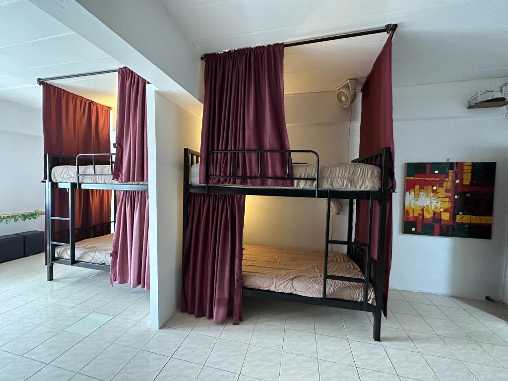 The Cabin Backpackers Hostel & Bar photo 2