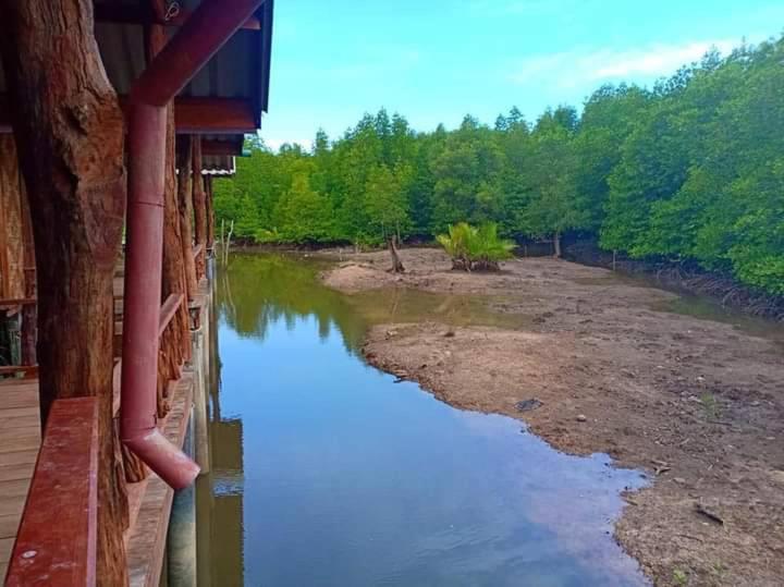 saithai forest homstay photo 2