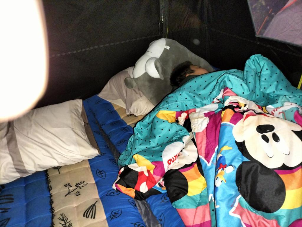THONG HOME CAMPs photo 2