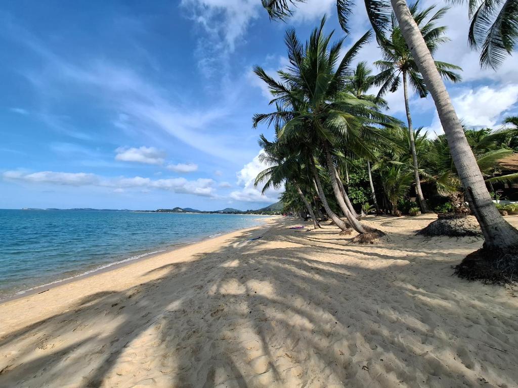 Thiptara Resort - adults only photo 3
