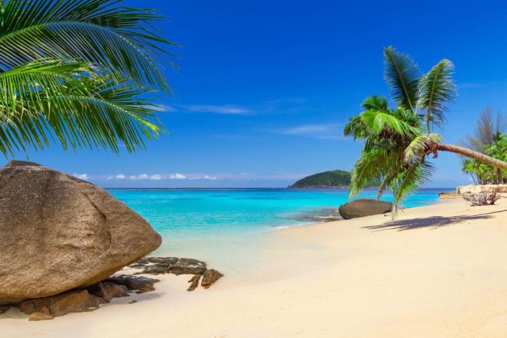 Wonderful Beach Villa photo 2