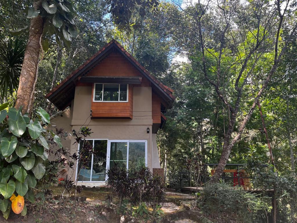 Wishing Star Cottage photo 3