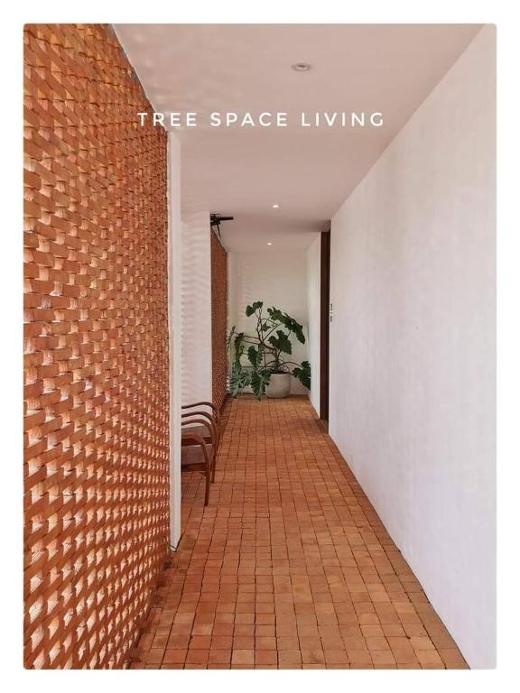 Tree Space Living — photo 1