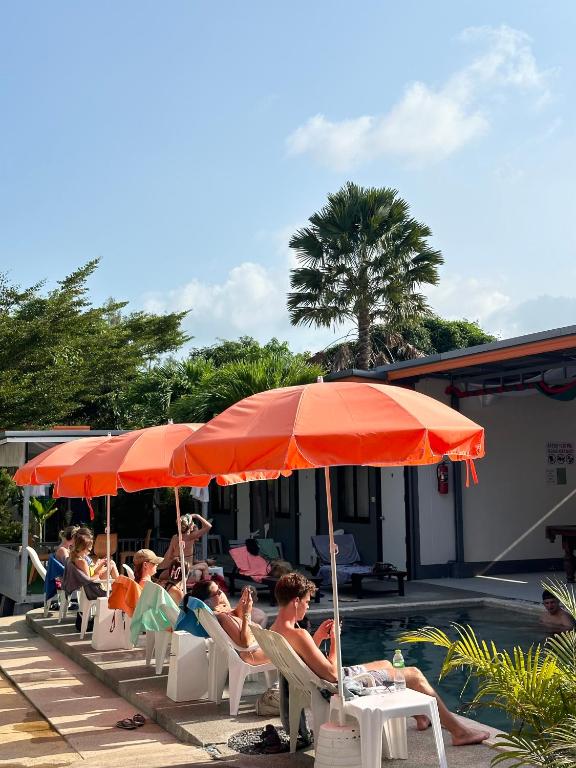 Samui Backpacker Hotel photo 3