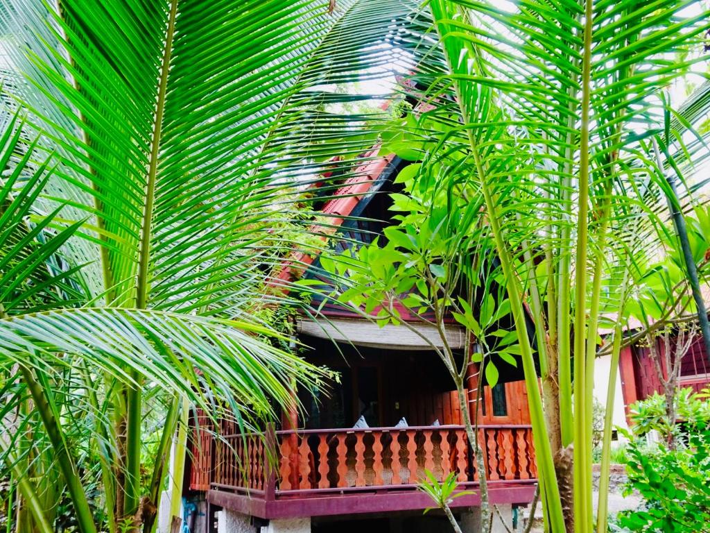 Starbay Samui photo 3