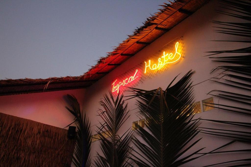 Tropical Hostel — photo 1