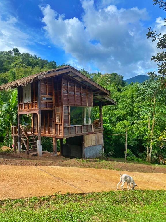 สะปันซีวิว ที่พักบ้านสะปัน บ่อเกลือ น่าน photo 3
