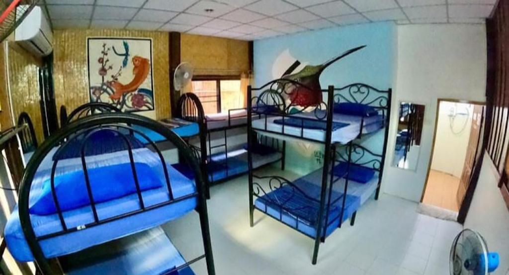 Sunny garden hostel photo 2