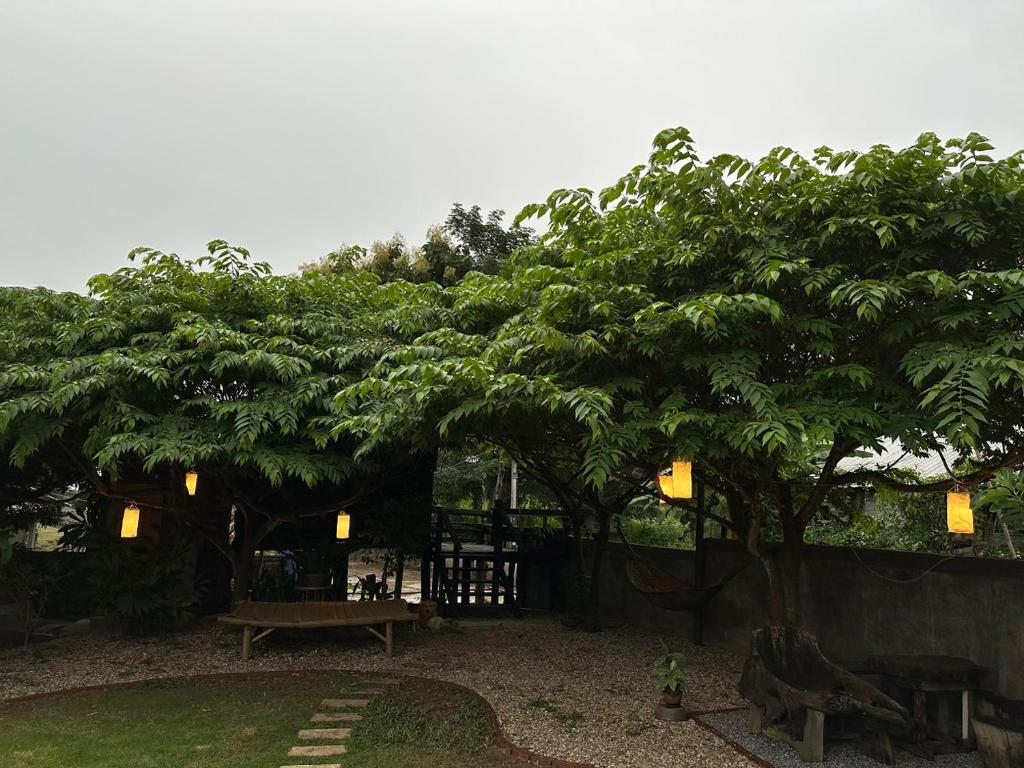 The Legend Homestay. — photo 1