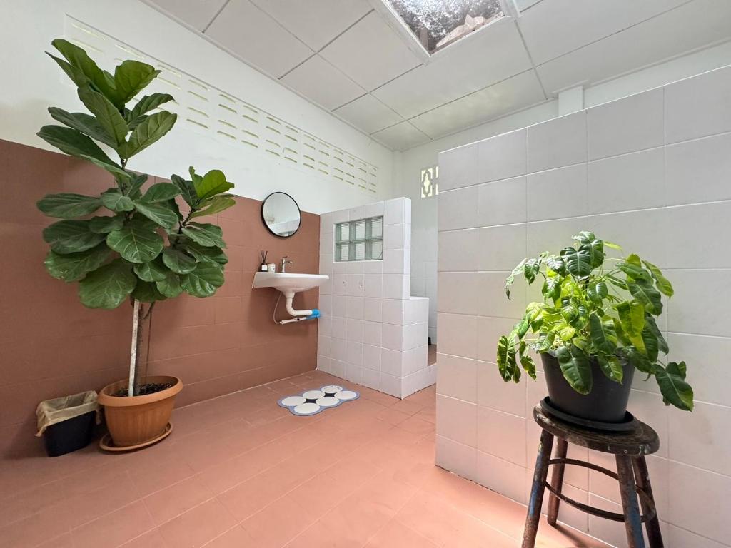 WWP HAUS Glamping and stay in Kiriwong คีรีวง photo 3