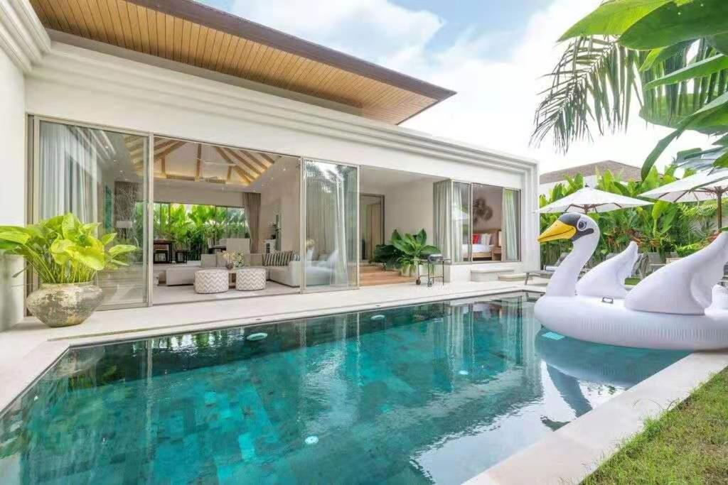 Trichada Tropical photo 3