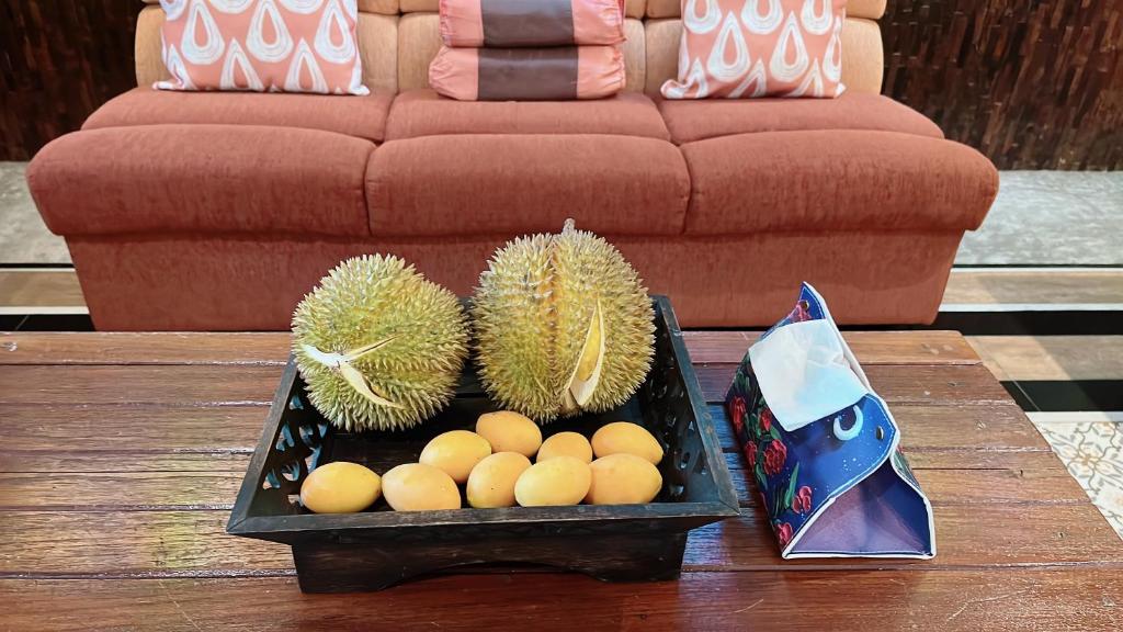 Seed Villa·Nimman Thai Local Lanna garden villa photo 3