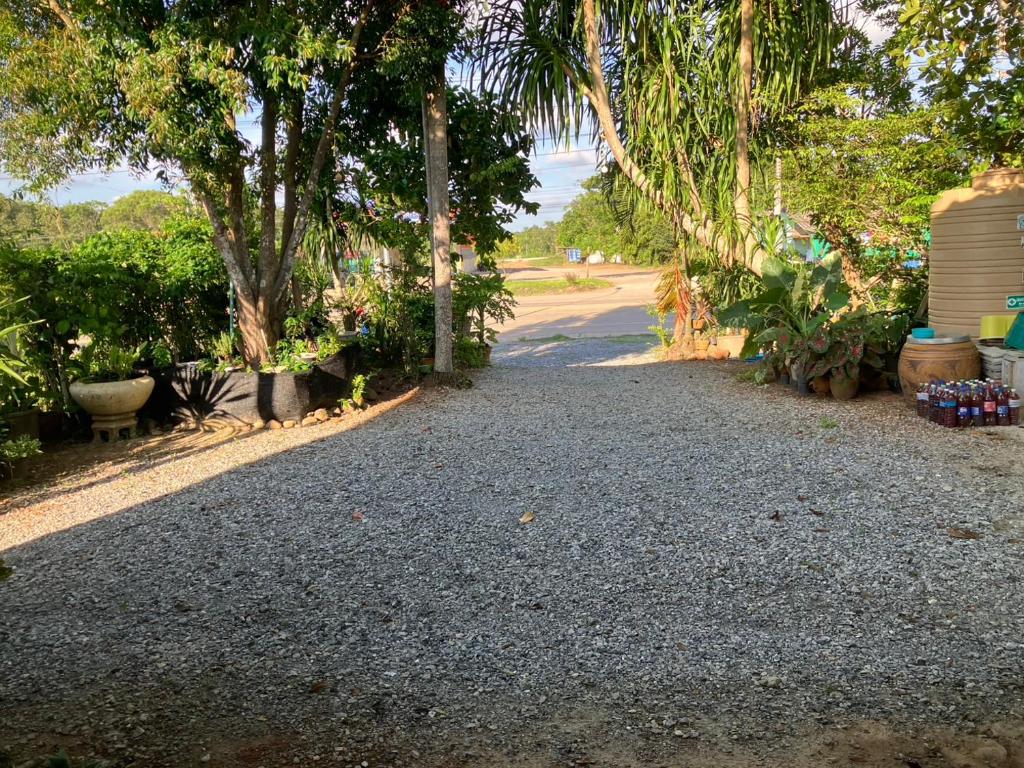 Rosemary Rayong — photo 1
