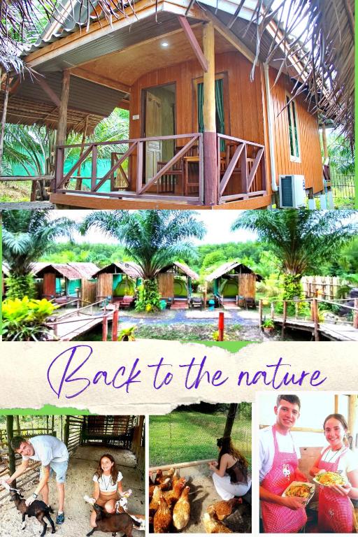 YaoIsland Resort and Farm — photo 1