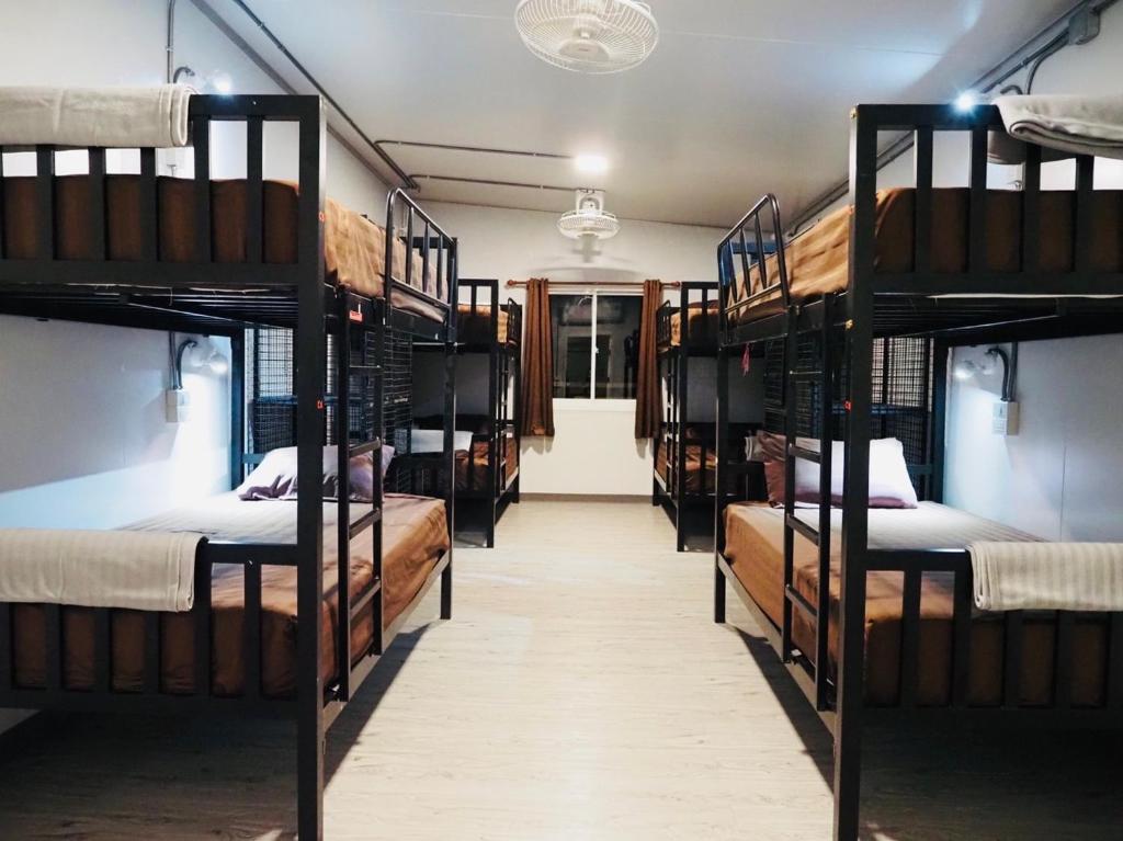 Wild Ones Hostel photo 2
