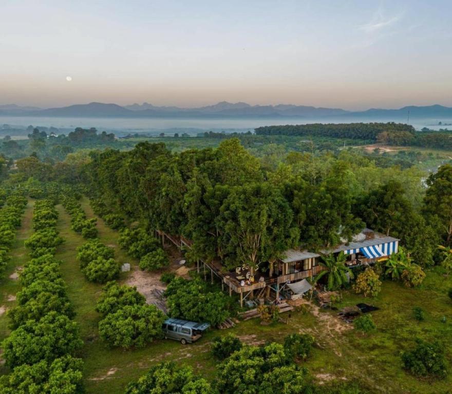 Napahong Treehouse นาป่าฮง photo 3
