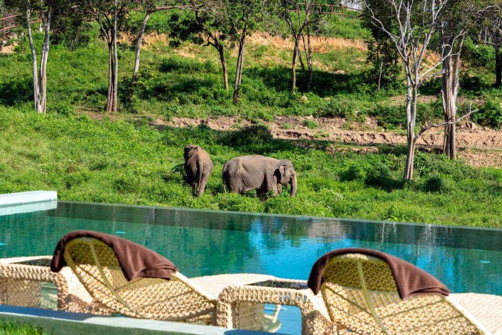 Wild Cottages Elephant Sanctuary Resort — photo 1