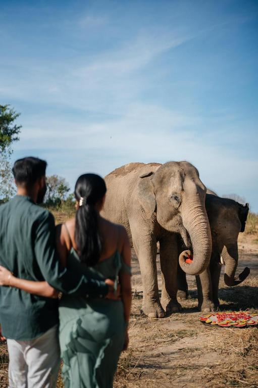 Wild Cottages Elephant Sanctuary Resort photo 2