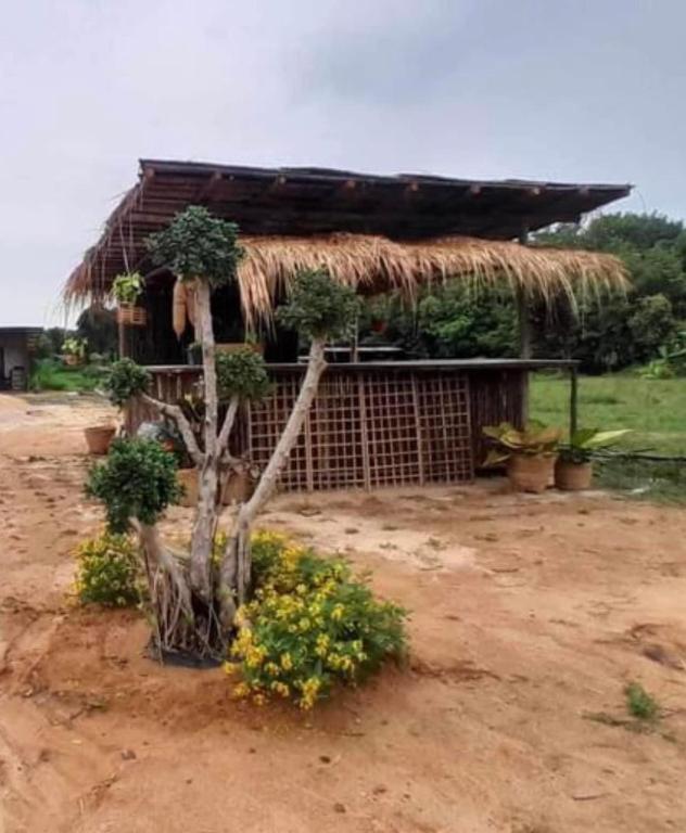ทุ่งนากางเต้นท์ Countryside — photo 1