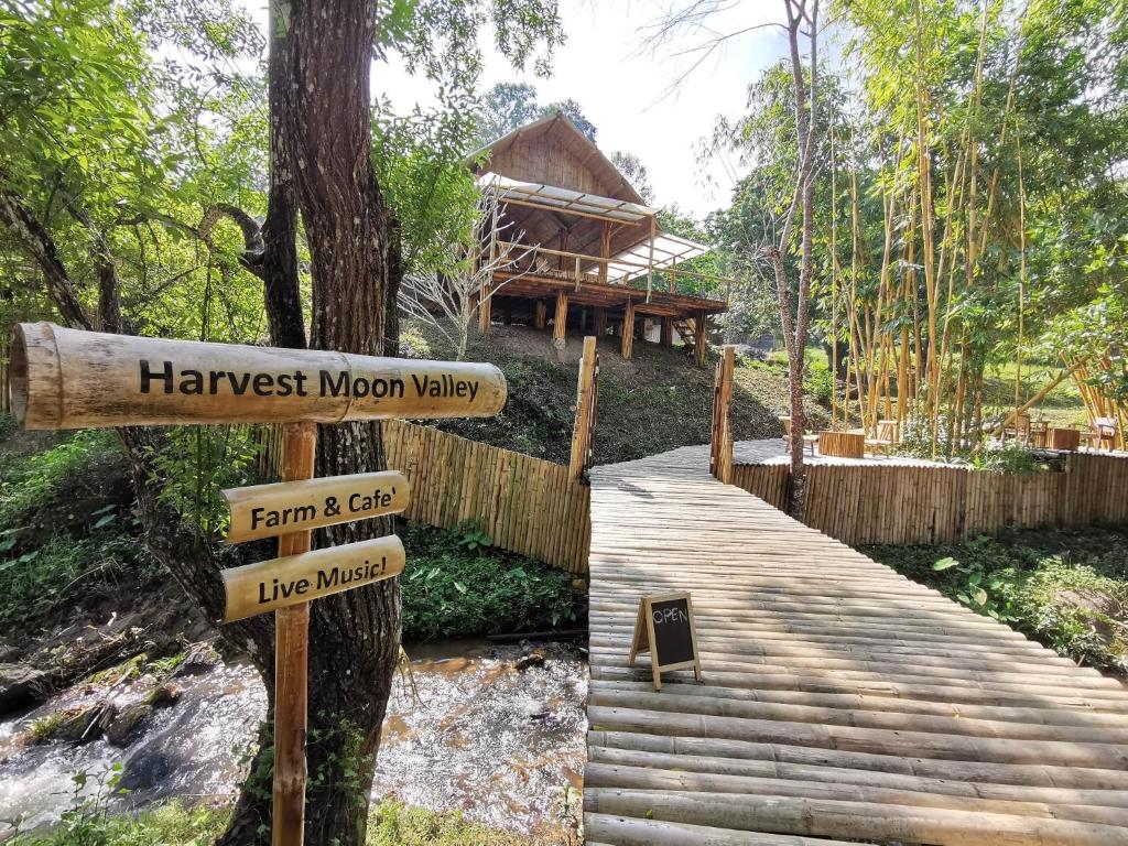 Harvest Moon Valley — photo 1