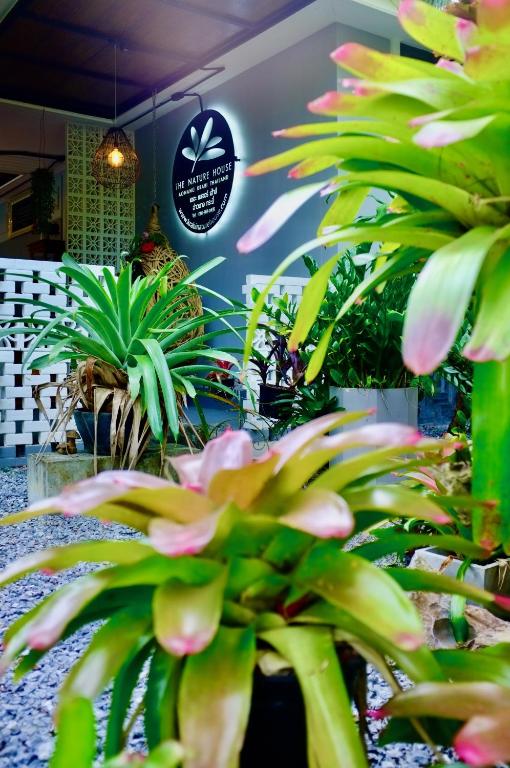 The Nature House Aonang Krabi Thailand — photo 1