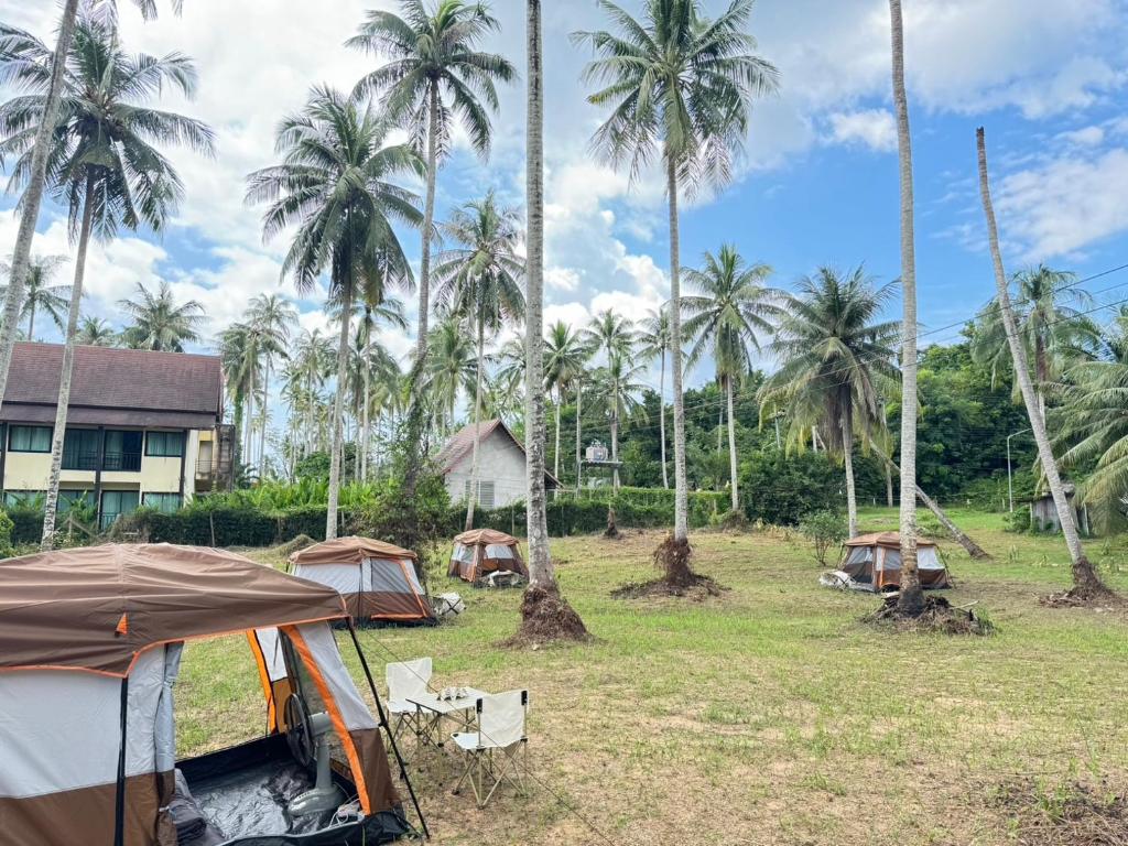 Tent Room ผู้ใหญ่วุ้น photo 3