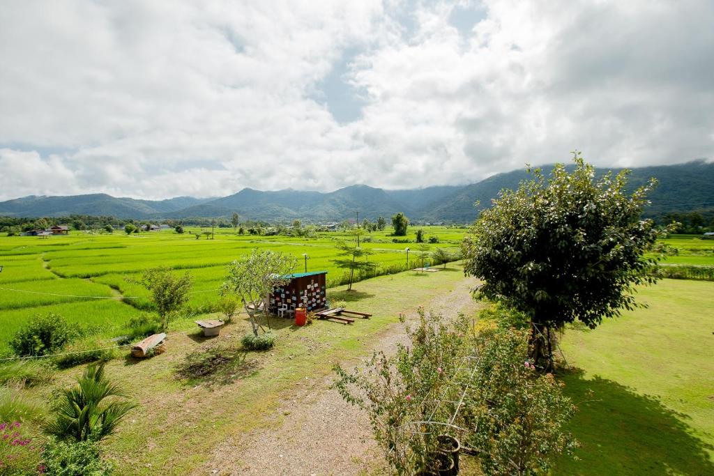 Baan chomphu @Pua photo 2