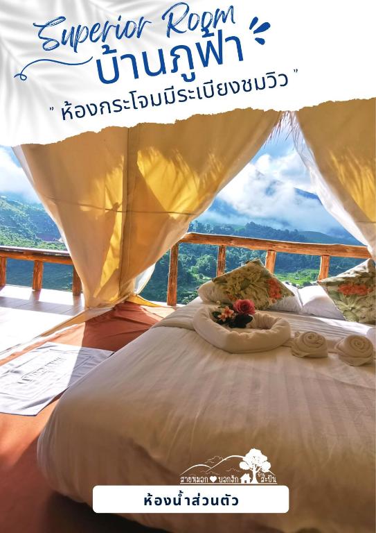 สายหมอกบอกรัก น่าน SAIMOK Bokrak NAN photo 2