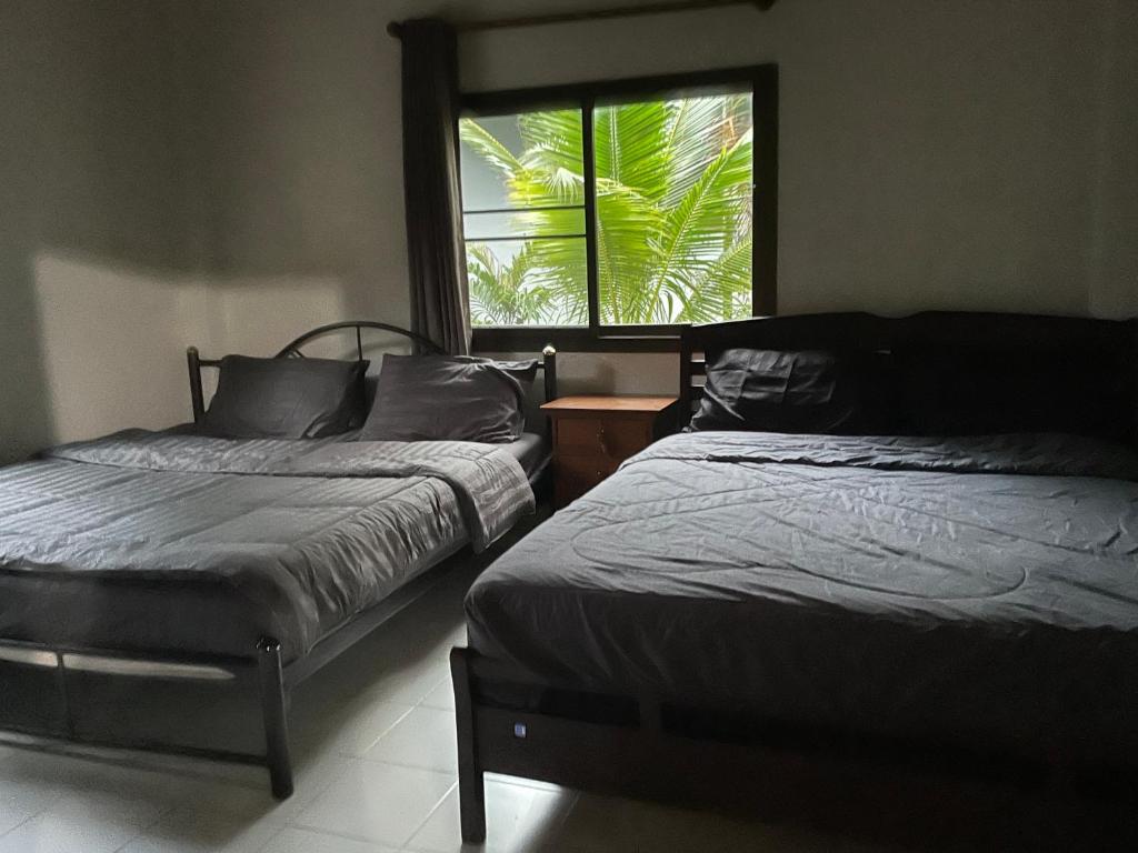 SU house Koh Phangan photo 2