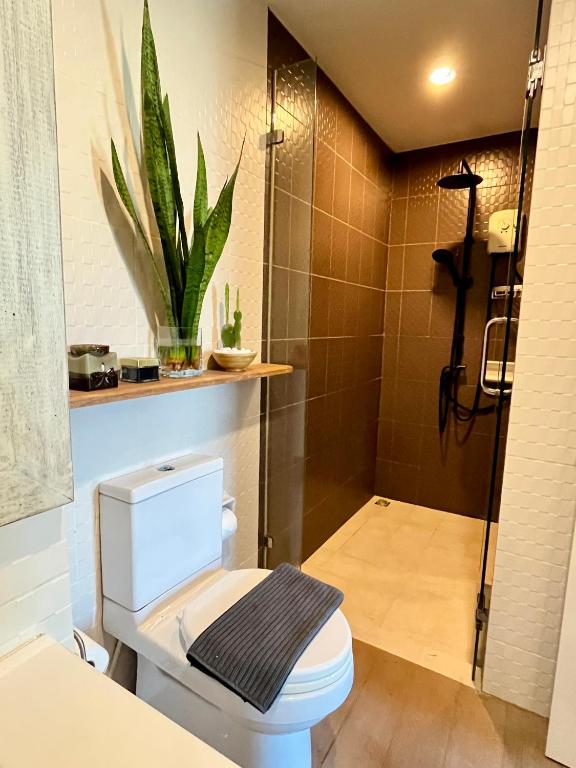 ZcapeX2 condominium photo 3