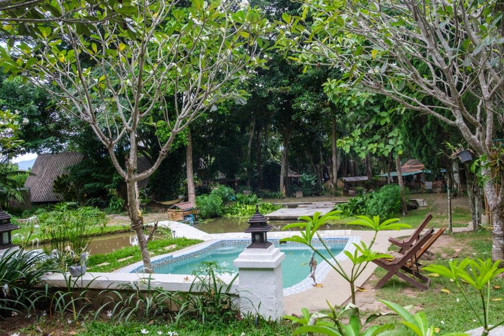 Shaya Resort photo 2