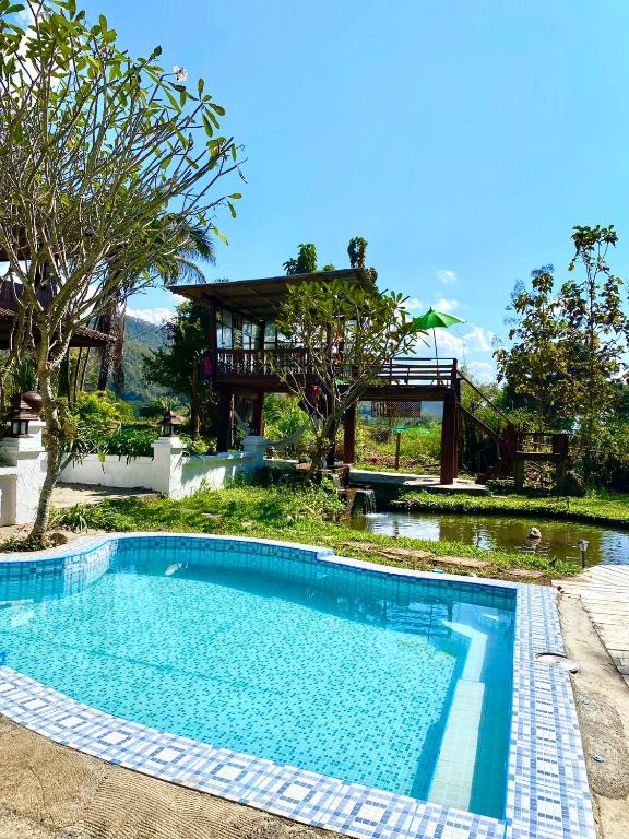 Shaya Resort photo 3