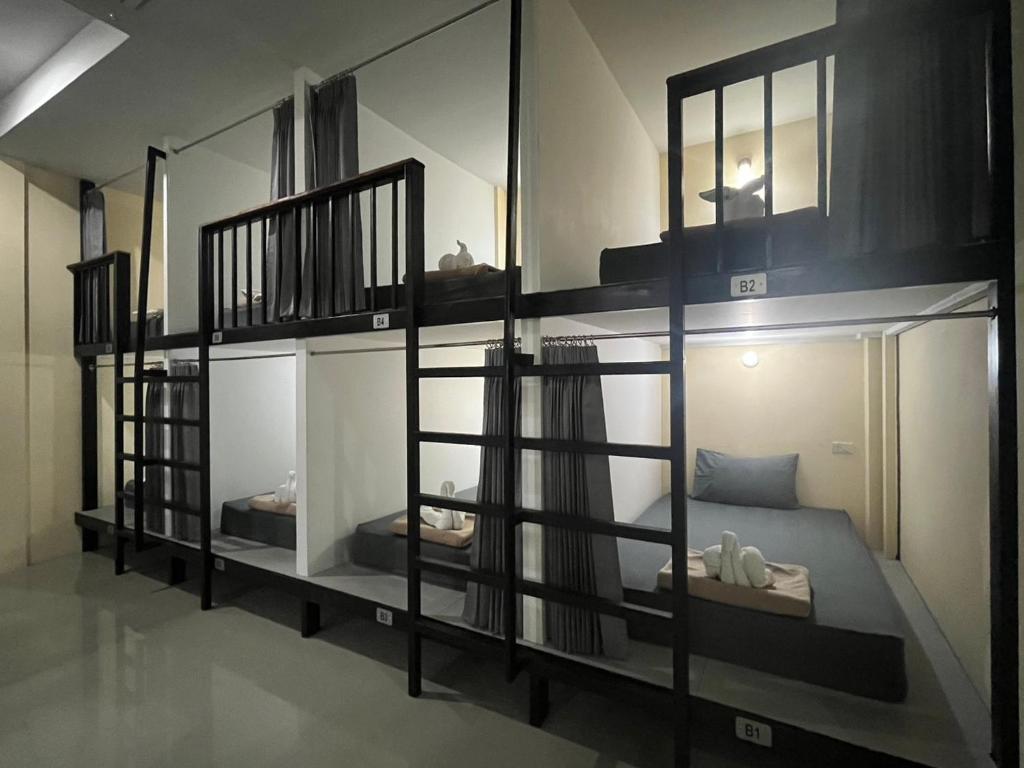 3 TIGERS Resort & Hostel photo 2