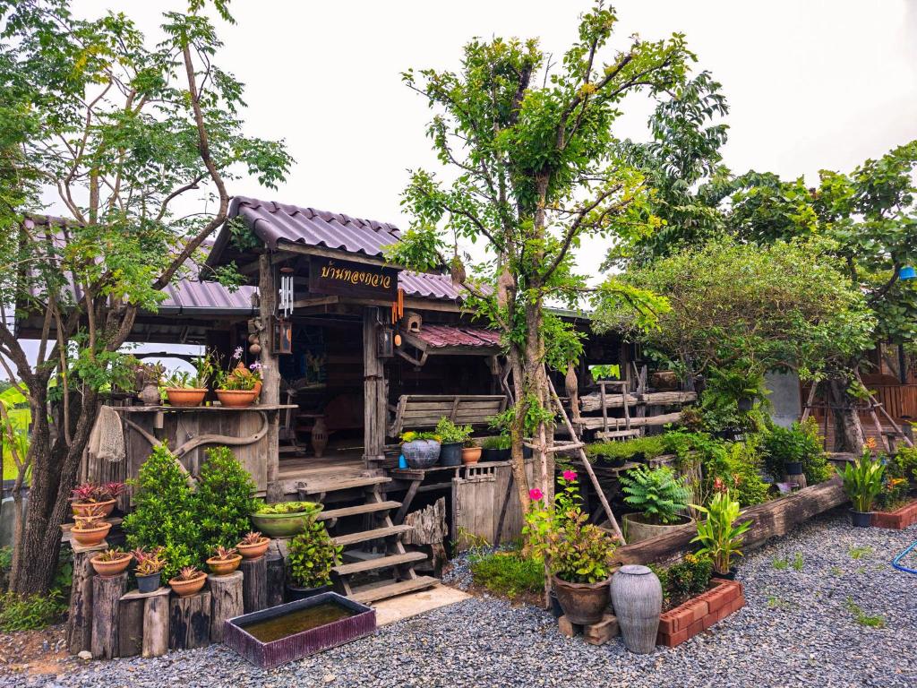 Suk Sabai Homestay — photo 1