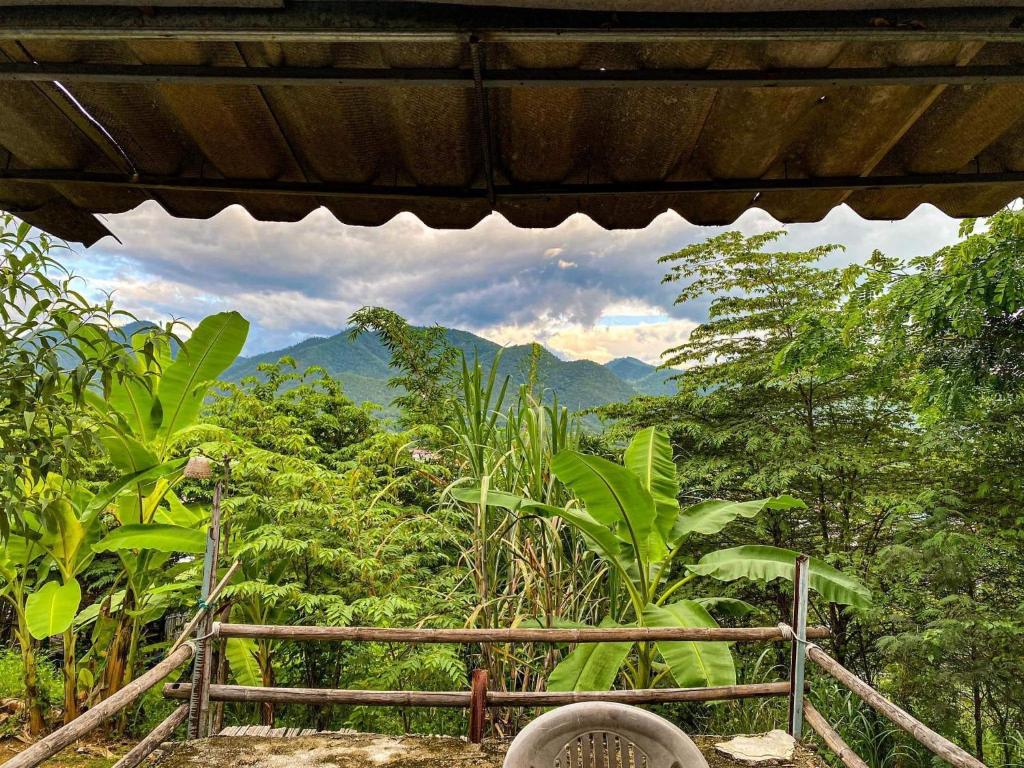 Tony's Guesthouse photo 3