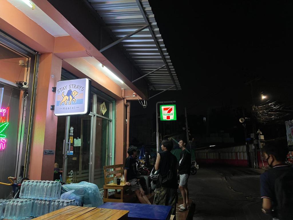 Stay Strays Hostel photo 3